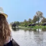 Sea testigo de cómo los elefantes se refrescan en el agua durante una expedición en canoa.