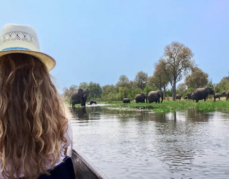 Witness elephants cooling off in the water while on a canoeing expedition.