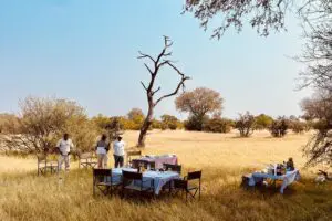 Disfrute de una cena al aire libre entre las altas hierbas, al calor del sol. Campamento de época Feline Fields