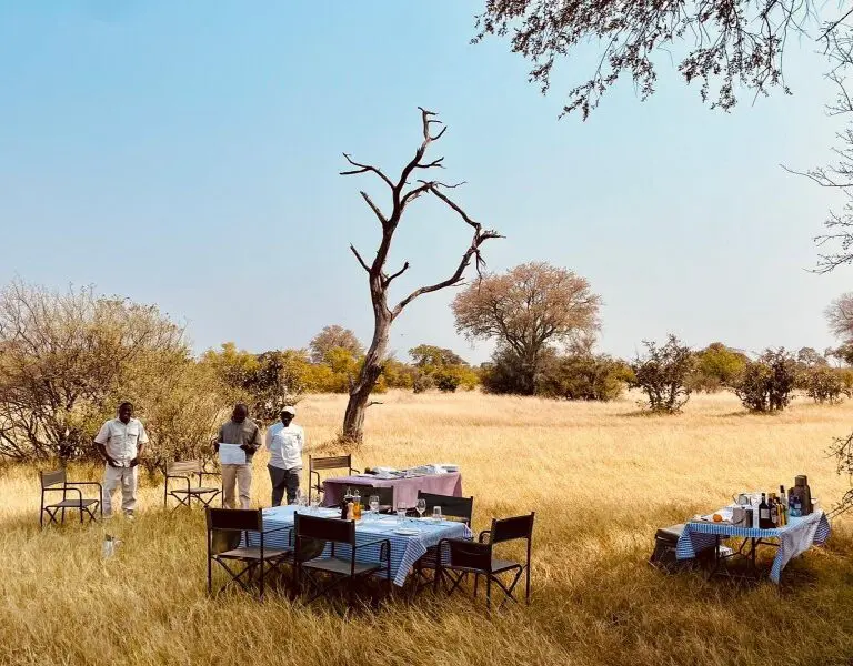 Relish outdoor dining amidst the tall grasses, warmed by the sun. Feline Fields Vintage Camp