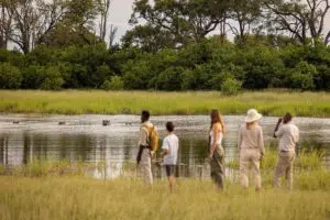 Los safaris a pie son una forma activa de sumergirse en la incomparable naturaleza salvaje de Botsuana.
