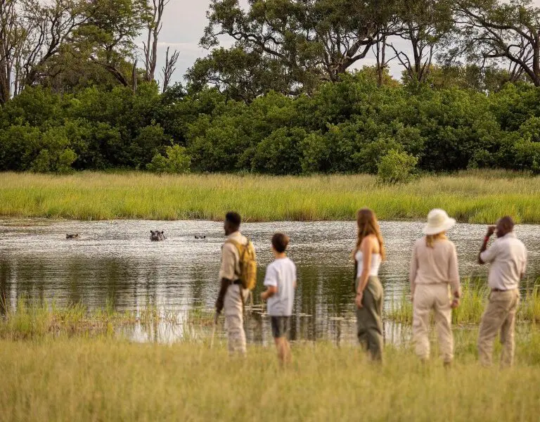 Walking safaris are an active way to immerse yourself in Botswana’s unrivalled wilderness.