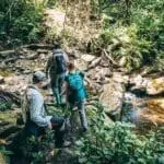 Paseos por el bosque en busca de chimpancés. 