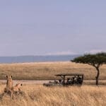 Safari en Ishara Mara. 