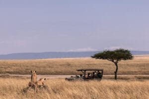 Safari en Ishara Mara. 