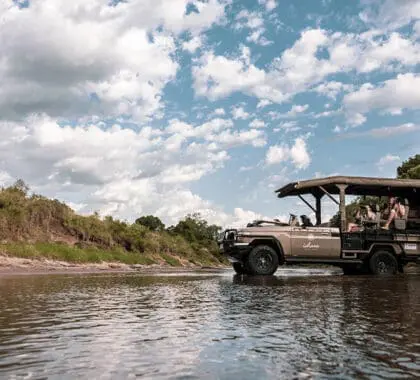 Los safaris se realizan en sofisticados vehículos 4x4 que permiten acceder a numerosos terrenos. 