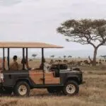 Explore the park on immserive game drives. 