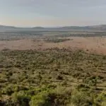 Serengeti National Park is a beautifully diverse vista landscape. 