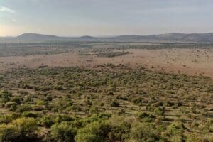 Serengeti National Park is a beautifully diverse vista landscape. 