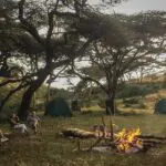 The campsite is thoughtfully set up, providing a seamless flow between your private quarters and communal areas.