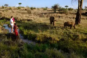 Walk alongside rhinos, a thriving population at Lewa Conservancy.