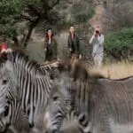 As a walking safari that migrates with the wildlife, you'll have excellent photo opportunities.