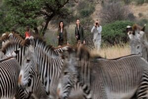 As a walking safari that migrates with the wildlife, you'll have excellent photo opportunities.