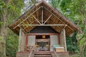 Alojamiento de lujo durante el trekking con chimpancés. 