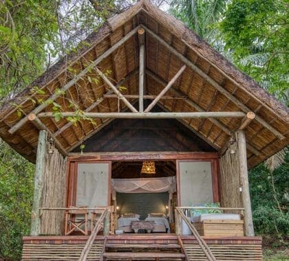 Alojamiento de lujo durante el trekking con chimpancés. 