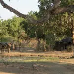 A waterhole near camp - a favourite of the elephants in the area.
