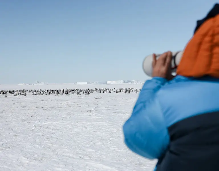 white-desert-antarctica-white-desert-emperor-penguins-18