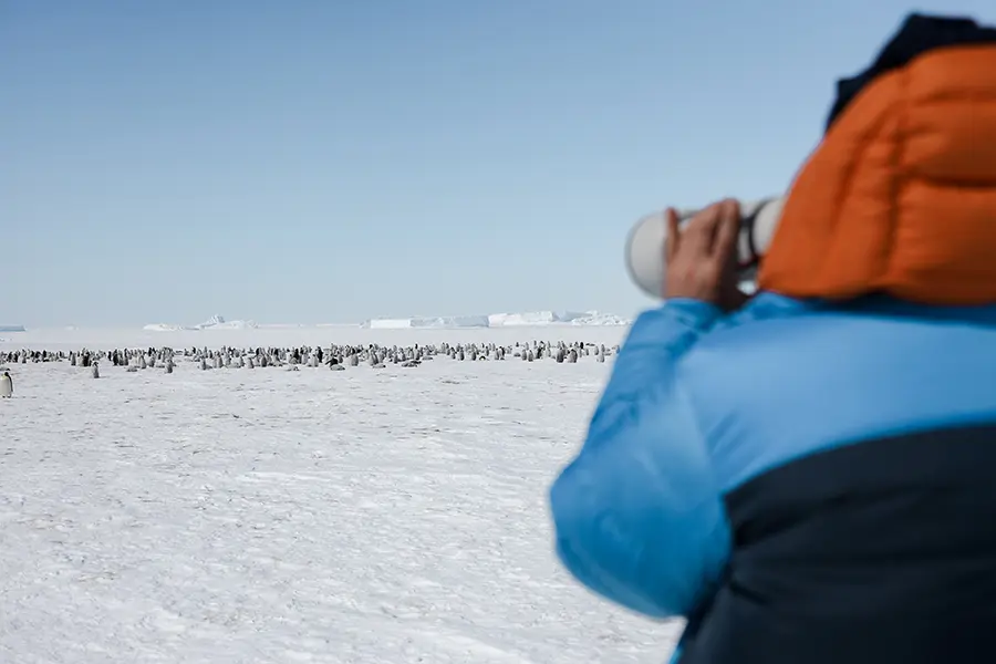 white-desert-antarctica-white-desert-emperor-penguins-18
