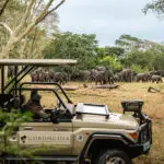 Explore os cantos mais remotos do parque num passeio de carro.