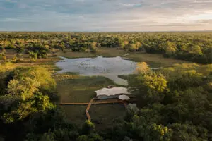 Chicari Camp est situé sur les vastes étendues de Chicari Pans, qui attirent des animaux sauvages de tout le parc. 