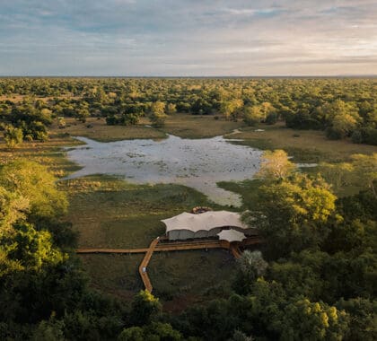 Chicari Camp is located on the sprawling Chicari Pans, attracting wildlife from across the park. 