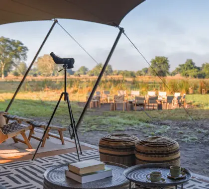gorongosa-safaris-chicari-camp-banner-main-area-spotting-wildlife-on-the-pan