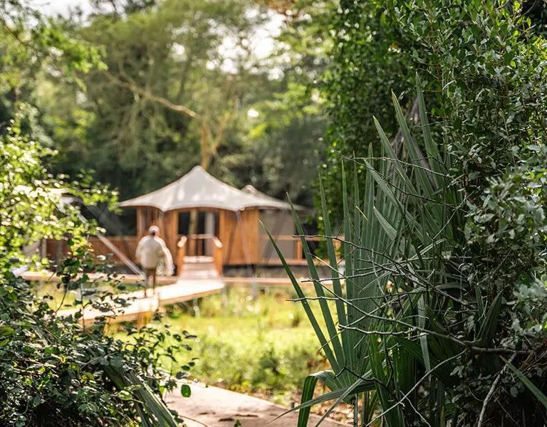 gorongosa-safaris-chicari-camp-main-area-architecture-7-portrait