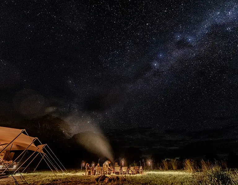 Enjoy some of the best stargazing in Gorongosa's unpolluted night skies. 