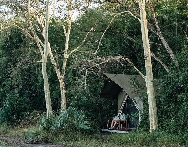 The Safari Tents are tucked just into the tree line for extra shade and privacy, while maximising the wilderness views out front. 