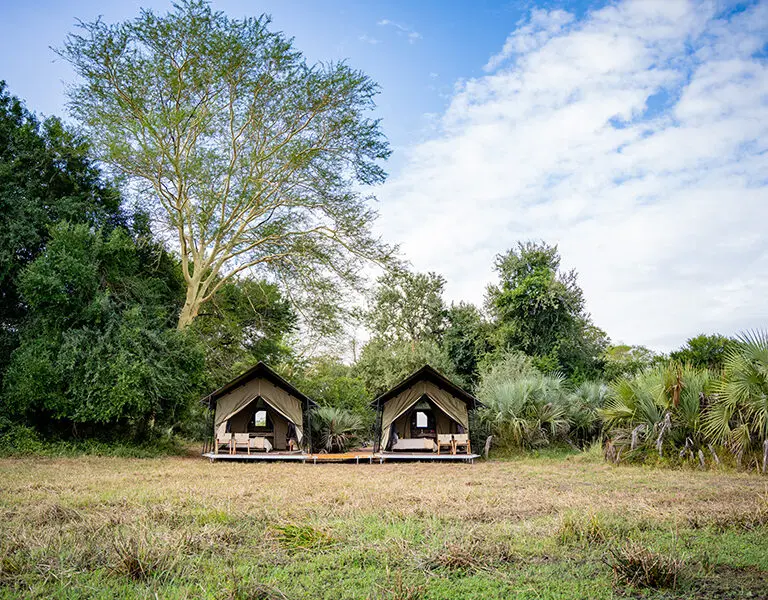 The Treehide Tents are perfect for a family. 