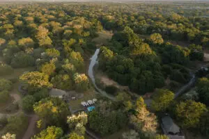 Muzimu Lodge propose un safari classique sous tente, caché dans une forêt riveraine tranquille.