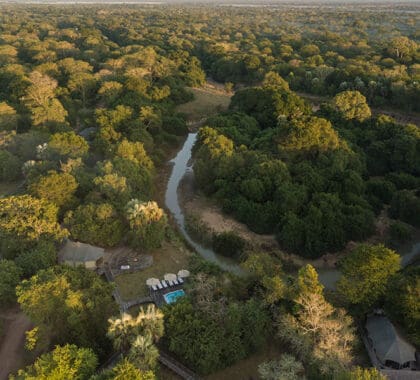 Muzimu Lodge offers a classic tented safari, hidden in a tranquil riverine forest.