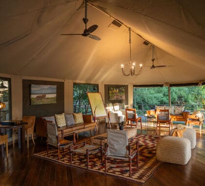 Relax in the lounge with a cool drink after your morning game drive.