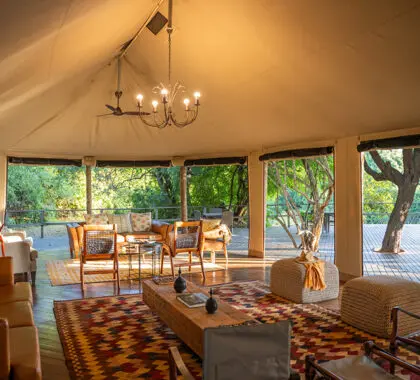 The main area interior at Musimu.