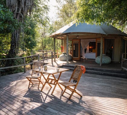 A tented Suite at Muzimu, with a spacious viewing deck. 
