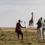 Los safaris a pie le acercarán a la vida salvaje.