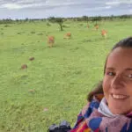 Sich nähernde Löwen in Kenias Mara Naboisho Conservancy