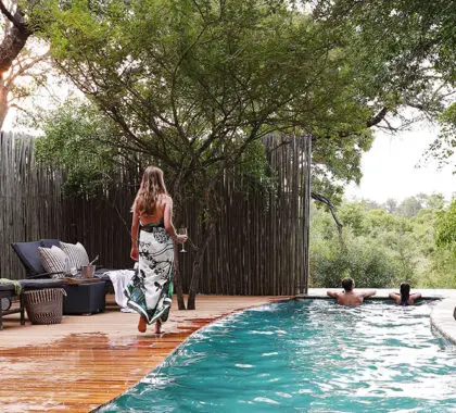 Londolozi Pioneer Camp swimming pool.