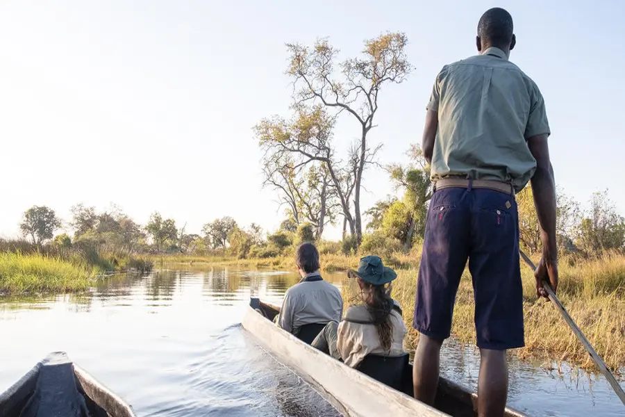 Looking at a mokoro canoe travelling along the Okavango Delta | Go2Africa