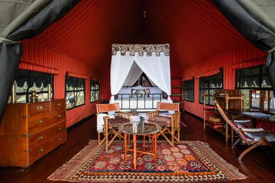 mbamba-by-natural-selection-tent-interior