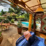 The garden and swimming pool.