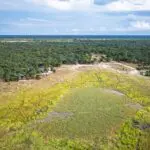 Situado ante una próspera laguna, Muddy Teak ofrece asientos de primera fila para contemplar la actividad natural de la fauna.