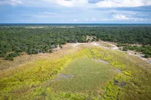 Situado ante una próspera laguna, Muddy Teak ofrece asientos de primera fila para contemplar la actividad natural de la fauna.
