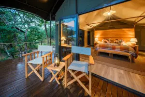 Su terraza de observación y el interior de la tienda | Muddy Teak.