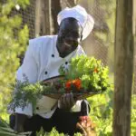 Todas las comidas se elaboran con verduras del huerto ecológico del campamento.