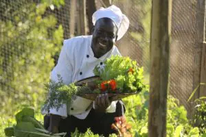 Todas las comidas se elaboran con verduras del huerto ecológico del campamento.