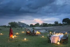 Disfrute de una cena en la sabana bajo las estrellas.