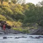 Los paseos por el monte le acercan a la captura de primeros planos de la vida salvaje.