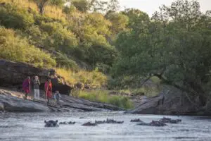 Los paseos por el monte le acercan a la captura de primeros planos de la vida salvaje.
