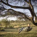 Relájese en una hamaca y disfrute de la tranquilidad del entorno.